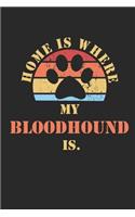 Bloodhound