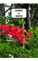 Carnet de Notes