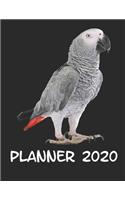 Planner 2020: Planner Weekly and Monthly for 2020 Calendar Business Planners Organizer For To do list 8,5" x 11" with African Grey Parrot Jungle Animal Bird
