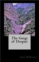 Gorge of Despair