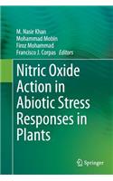 Nitric Oxide Action in Abiotic Stress Responses in Plants