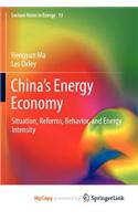 China's Energy Economy