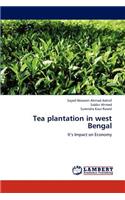 Tea Plantation in West Bengal