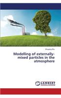 Modelling of externally-mixed particles in the atmosphere