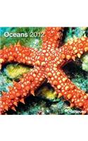 2012 Oceans Grid Calendar