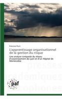 L'Apprentissage Organisationnel de la Gestion Du Risque