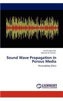 Sound Wave Propagation in Porous Media