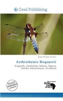 Aethiothemis Bequaerti