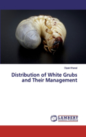 Distribution of White Grubs and Their Management