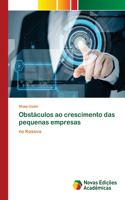 Obstáculos ao crescimento das pequenas empresas