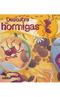 Descubre las hormigas / Discover the ants