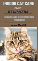 Indoor Cat Care for Beginners