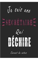 Je Suis une Secrétaire qui Déchire Carnet de notes: Carnet de note de 120 pages pour les Secrétaires cadeaux pour un ami, une amie, un collègue ou un collègue, quelqu'un de la famille