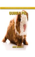 Guinea Pig