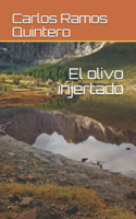 El olivo injertado