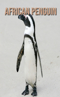 African penguin: Amazing Photos & Fun Facts Book About African penguin For Kids