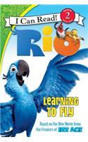 Rio: Learning to Fly