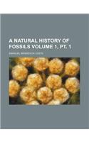 A Natural History of Fossils Volume 1, PT. 1