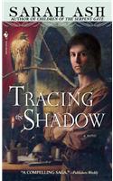 Tracing the Shadow