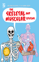 Skeletal and Muscular Systems
