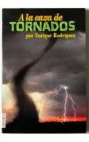 Spanish Chapter Books Chasing Tornadoes Single Title 2004c