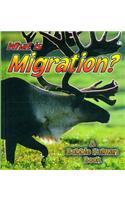 What is Migration?: (Science of Living Things S.)