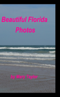 Beautiful Florida Photos: Florida Oceans Waves Beaches Palm Trees Birds Sand
