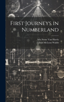 First Journeys in Numberland