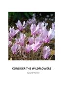 Consider the Wildflowers