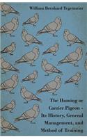 Homing or Carrier Pigeon - Its History, General Management, and Method of Training