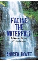 Facing the Waterfall: A Sinner's Story of God's Love(English)