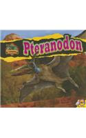 Pteranodon