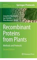 Recombinant Proteins from Plants