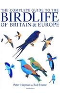 The Complete Guide to the Birdlife of Britain & Europe