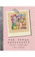 The Young geologists Rock Finding Log book: Guided prompt activities to to get out in nature and learn lifelong skills in experimentation and adventure and produce memories of their interest i