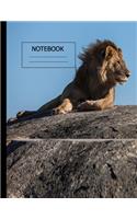 notebook: notebook: notebooks and journals, composition notebook, notebook