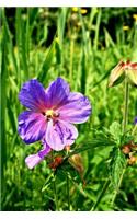 Geranium Pratense Meadow Cranesbill Cranes Bill Flowers Journal: Take Notes, Write Down Memories in this 150 Page Lined Journal