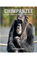Chimpanzee