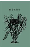 Notes