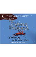 Curious Incident of the Dog in the Night-time