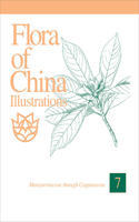 Flora of China Illustrations, Volume 7 - Menispermaceae through Capparaceae