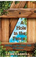 Hole in the Fence