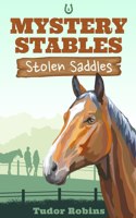 Stolen Saddles