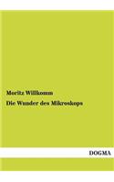 Wunder Des Mikroskops