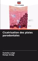 Cicatrisation des plaies parodontales