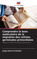 Comprendre la base moléculaire de la migration des cellules germinales primordiales