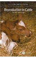 Reproduction In Cattle