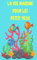La vie marine pour les petits yeux