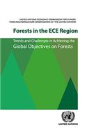 Forests in the ECE region