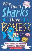 Why Don't Shark Have Bones?